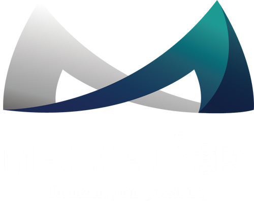 Malyan 3D Printer